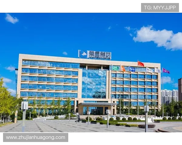 K8.com凯发手机官方地址官方入口指南，详细介绍正规登录渠道与安全措施